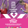Fed Cup (Affiche)