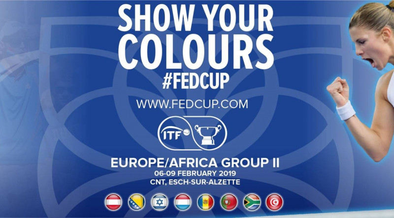 fedcup fb banner