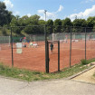 Image (3)